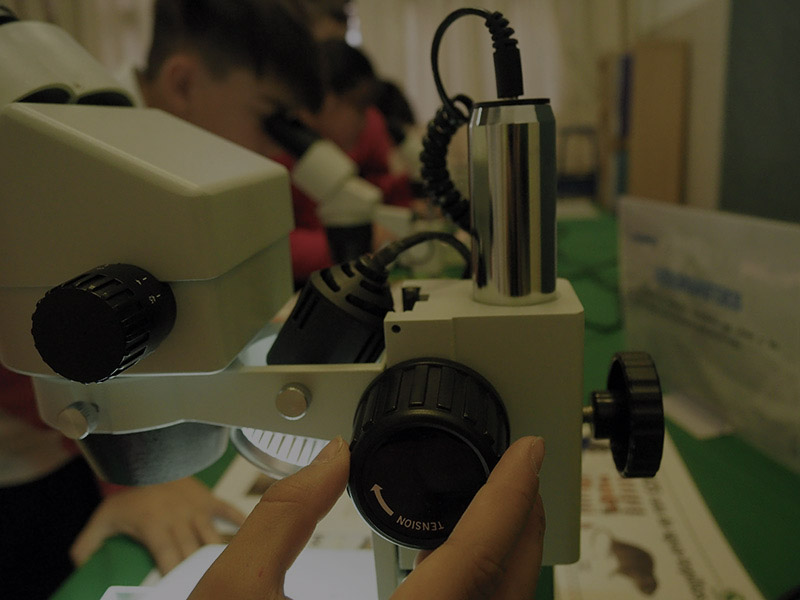 Taller Paleontología